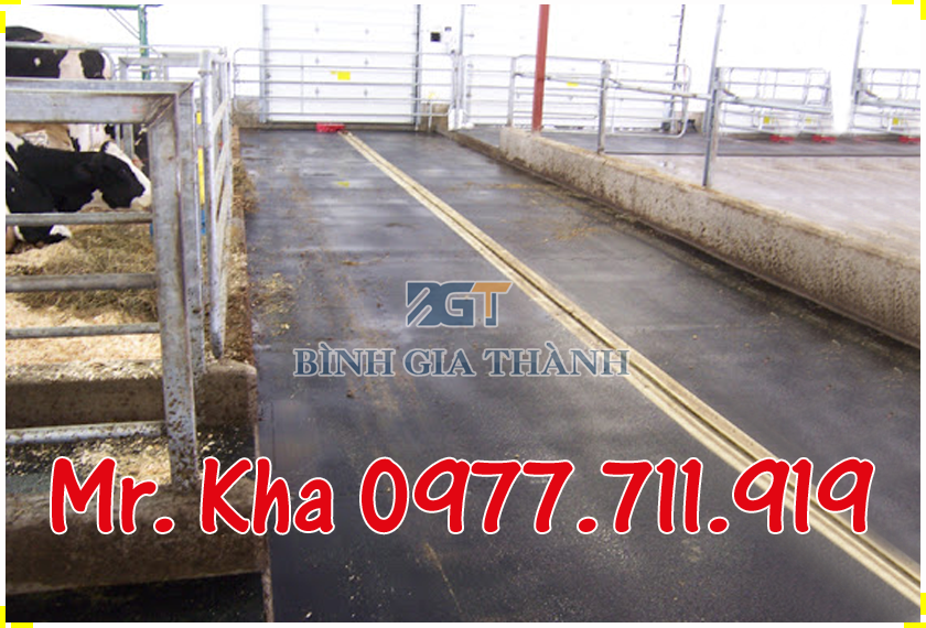 THẢM CAO SU LÓT SÀN TP.HCM THẢM CAO SU LÓT SÀN TP.HCM