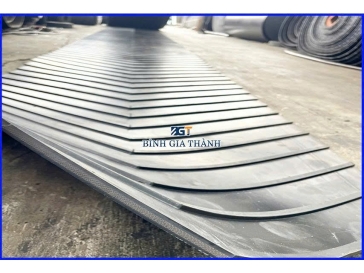 CAO SU BĂNG TẢI CÓ GÂN