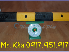 CAO SU CHẶN LÙI CONTAINER