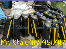 CAO SU CHẶN LÙI XE