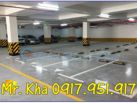 CAO SU CHẶN LÙI XE