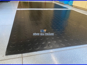 CAO SU CHỐNG TRƠN TRƯỢT VÂN ĐỒNG TIỀN - Giao hàng nhanh trên toàn quốc