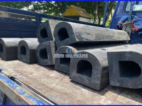 CAO SU GIẢM CHẤN CHỬ D