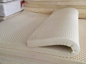 CAO SU NON LÀ GÌ? GỐI VÀ ĐỆM CAO SU NON CÓ TỐT KHÔNG?