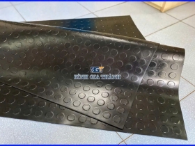 CAO SU VÂN ĐỒNG TIỀN