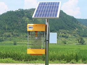 ĐÈN CHỐNG CÔN TRÙNG NĂNG LƯỢNG MẶT TRỜI LÀ GÌ