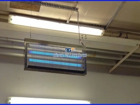 ĐÈN THU HÚT CÔN TRÙNG  TIÊT DIỆT CÔN TRÙNG