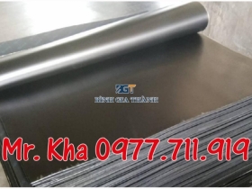 TẤM CAO SU BÌNH DƯƠNG